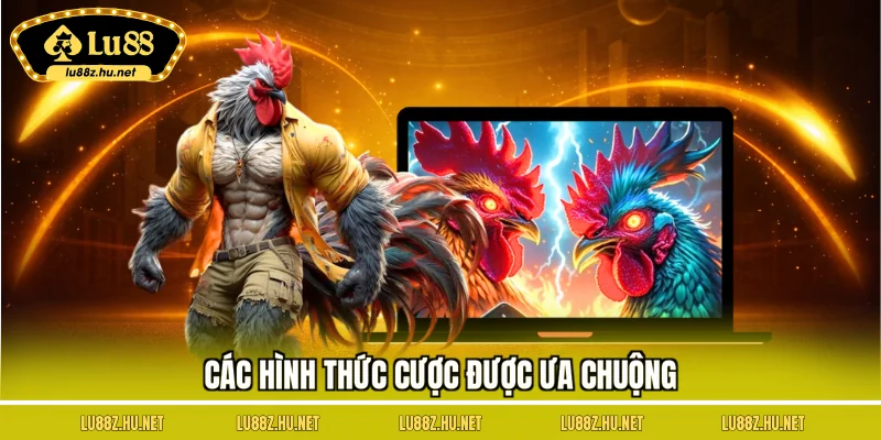 Các hình thức cược được ưa chuộng