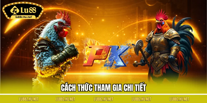 Cách thức tham gia chi tiết
