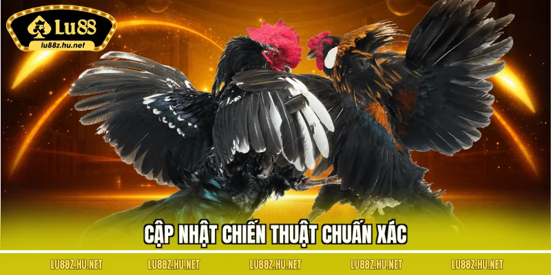 Cập nhật chiến thuật chuấn xác