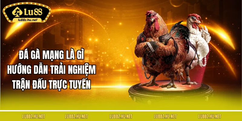 da-ga-mang-la-gi-huong-dan-trai-nghiem-tran-dau-truc-tuyen