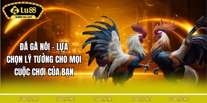 da-ga-noi-lua-chon-ly-tuong-cho-moi-cuoc-choi-cua-ban