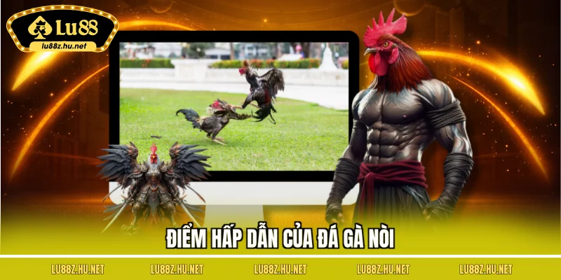 Điểm hấp dẫn của đá gà nòi