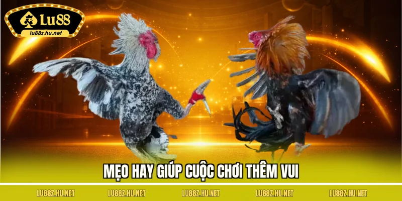 Mẹo hay giúp cuộc chơi thêm vui
