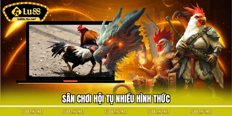 Sân chơi hội tụ nhiều hình thức