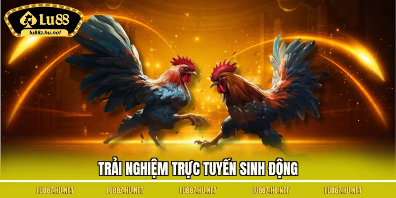 Trải nghiệm trực tuyến sinh động