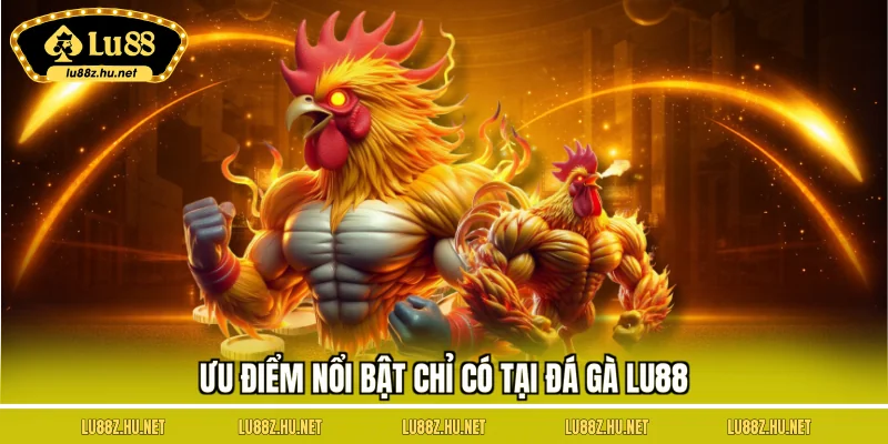 Ưu điểm nổi bật chỉ có tại đá gà LU88