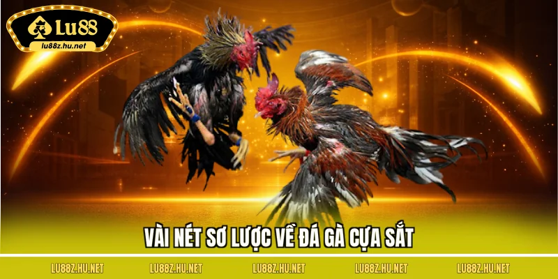 Vài nét sơ lược về đá gà cựa sắt